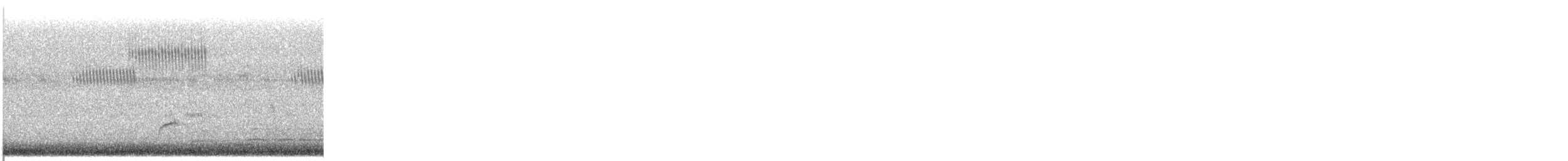 Swainson's Thrush - ML646687887