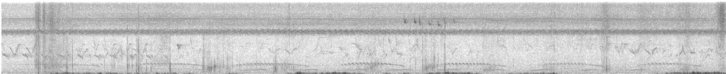 Ash-throated Crake - ML646688183