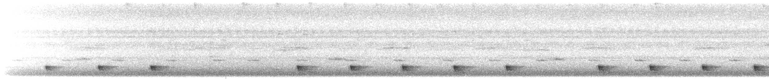 Large-tailed Nightjar - ML646688322