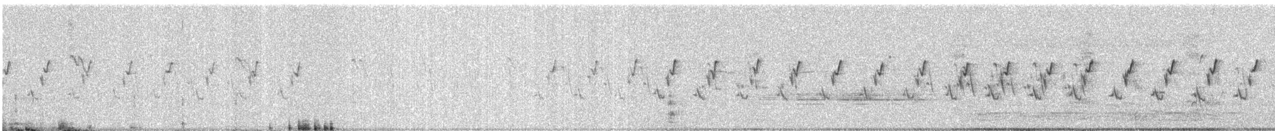 Ashy Prinia - ML646688332