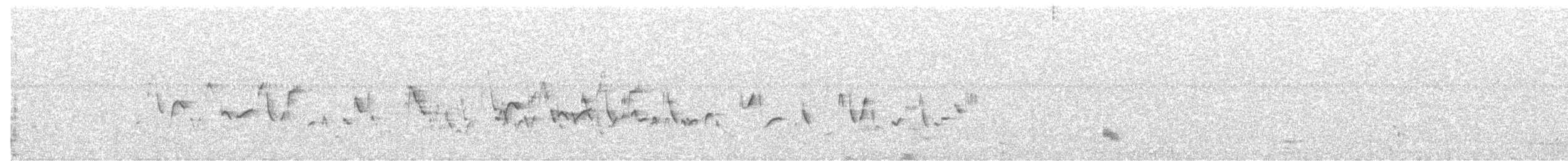 Swamp Grass Babbler - ML646688377