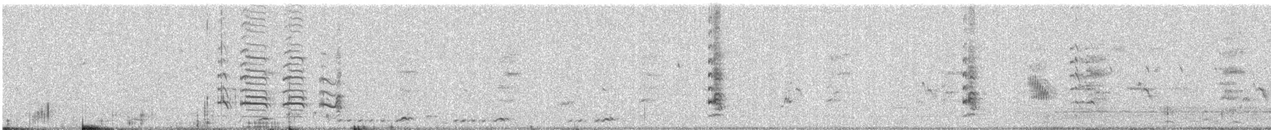 hvitbrystrikse - ML646688430