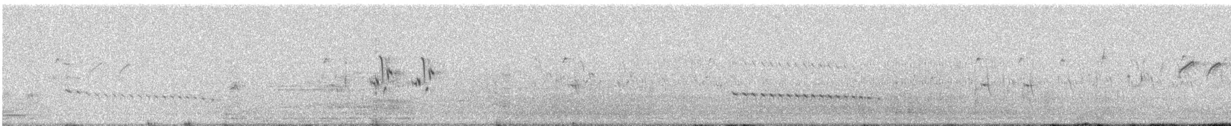 hvitbrystrikse - ML646688434