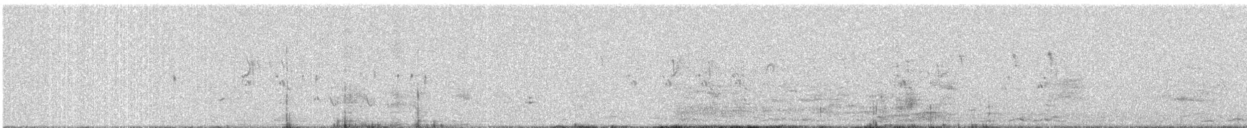 Laughing Dove - ML646688465