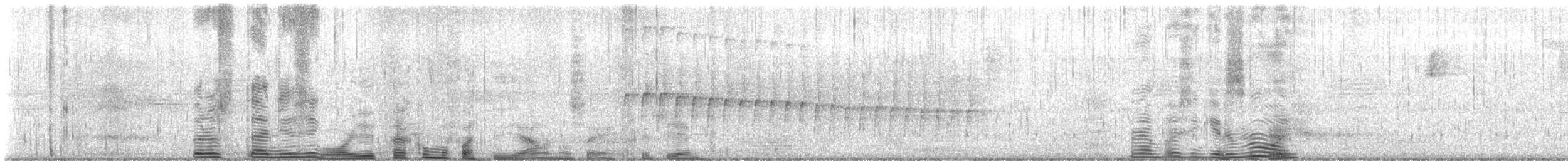 Anabate roux - ML646688650