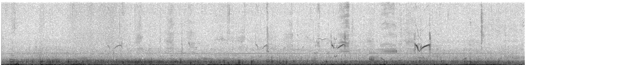 Pluvier semipalmé - ML646688813