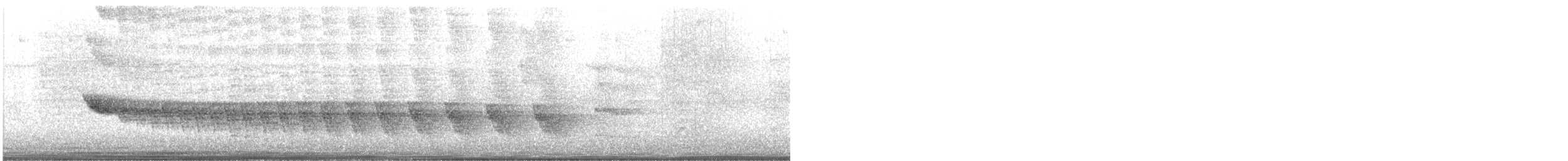 Alapi à ventre blanc - ML646688892