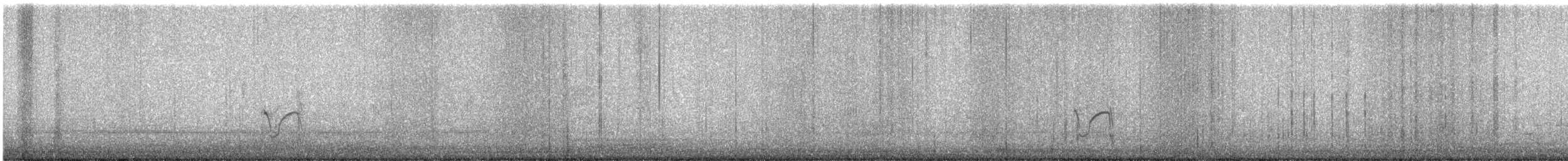 Semipalmated Plover - ML646689021