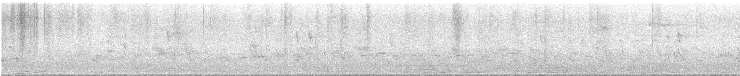 Gebirgsstelze - ML646689730