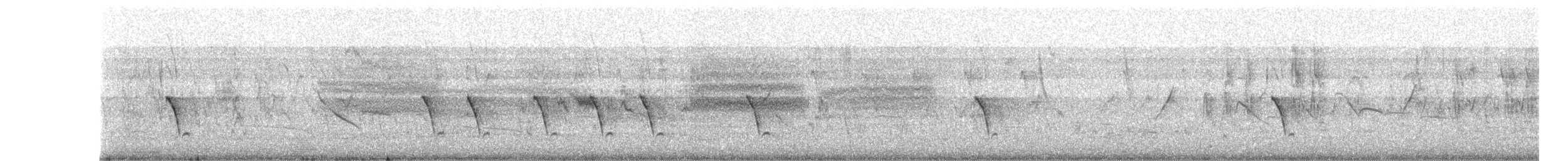 Common Tailorbird - ML646691384