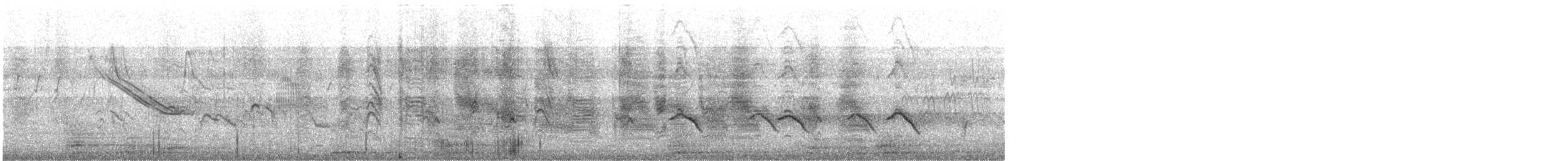 Black Drongo - ML646691612