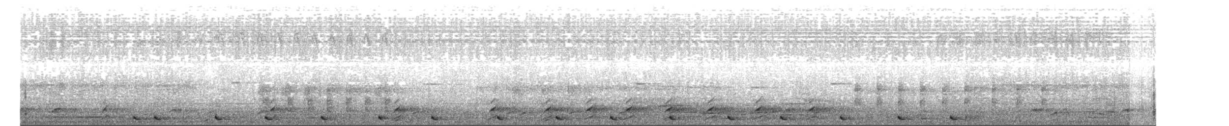 Barbu arlequin - ML646691822