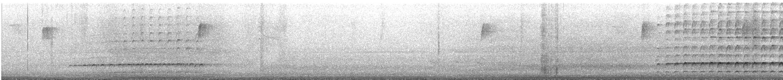 hvitbrynsvartspett - ML646692284