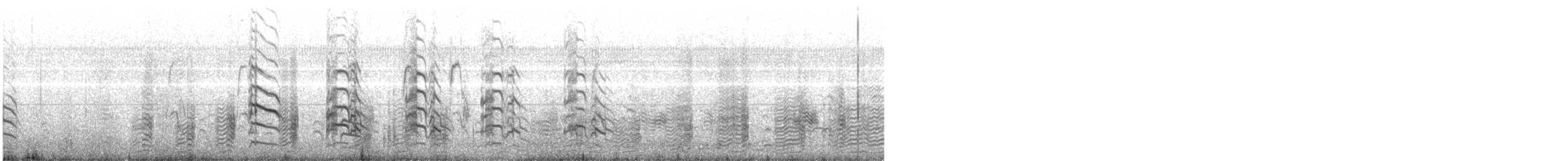 White-faced Ibis - ML646692481