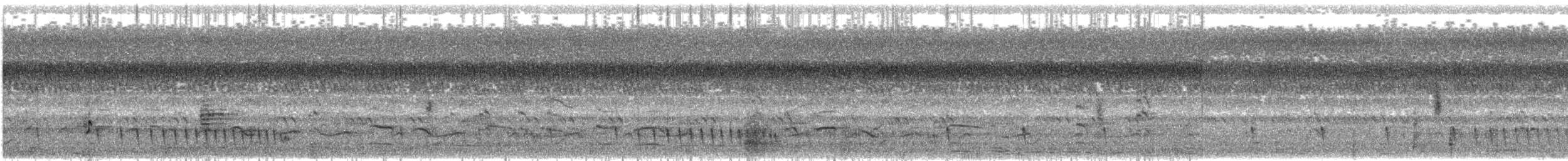 Hint Çobanaldatanı - ML646692877