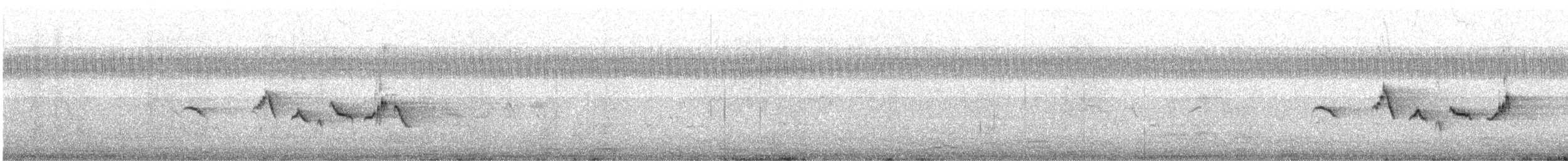 Pied Bushchat - ML646693309