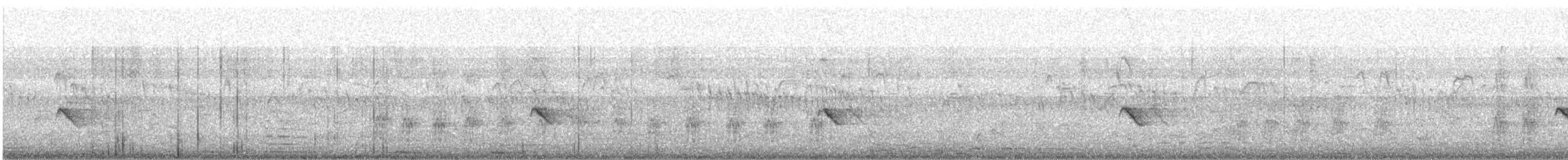 דוחל שחור - ML646693364