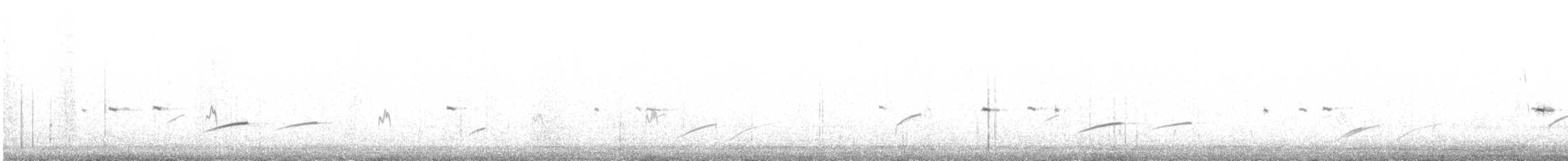 צחיחן שחור-כיפה - ML646693516