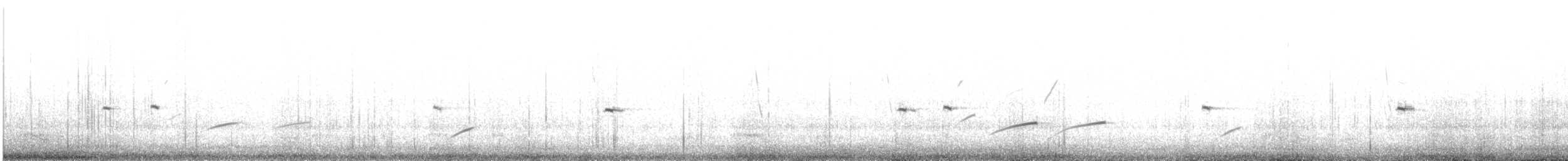 צחיחן שחור-כיפה - ML646693517