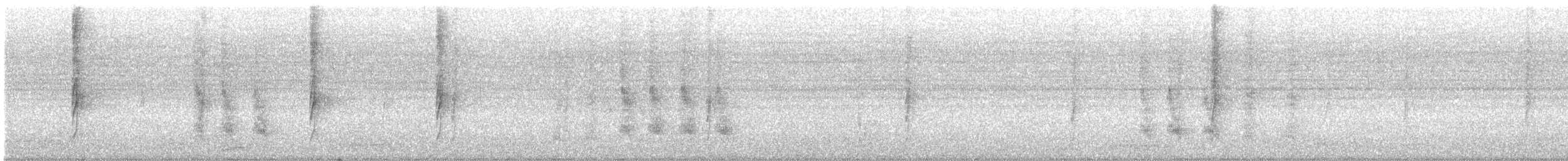 Пёстрый бентеви - ML646694323