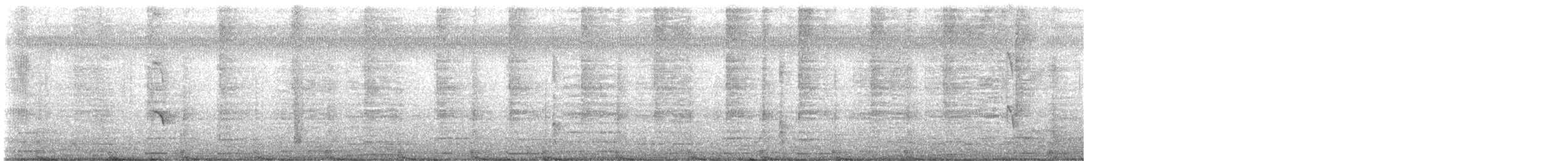 Лодкохвостый гракл - ML646694325