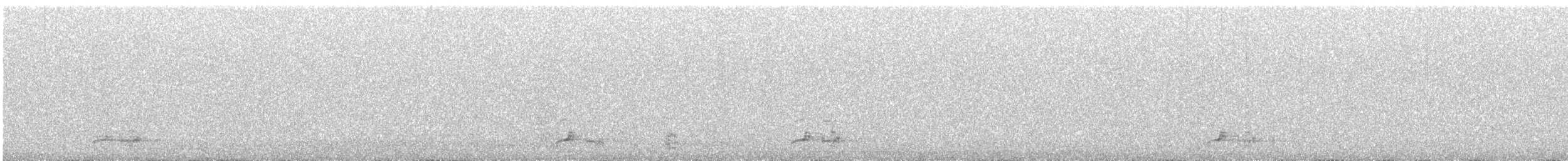 Белолобый гусь - ML646695049