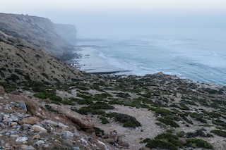رأس الغير | Cap Ghir, Sous-Massa-Draa, Morocco - eBird Hotspot