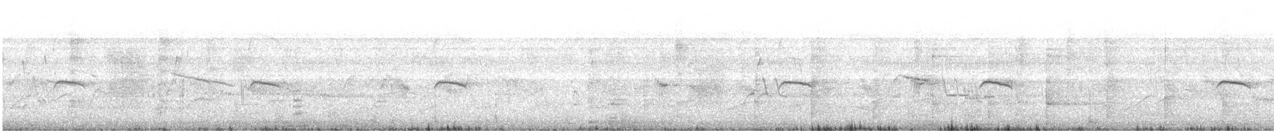 Zingira-mirotz eurasiarra - ML646696488