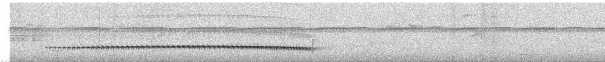Spot-backed Antshrike - ML646696522