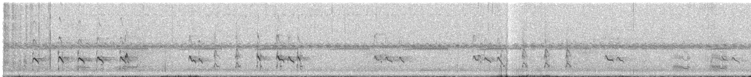 Kuliska hankahori txikia - ML646696524