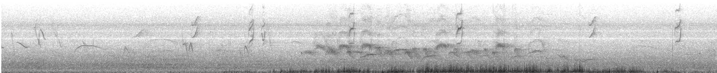 Yellow-billed Cardinal - ML646696541