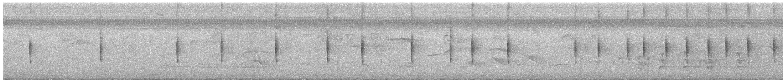 Common Tody-Flycatcher - ML646696602