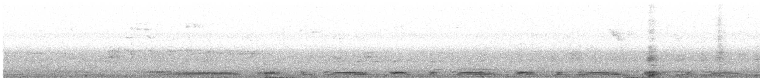 Spot-winged Pigeon - ML646696899