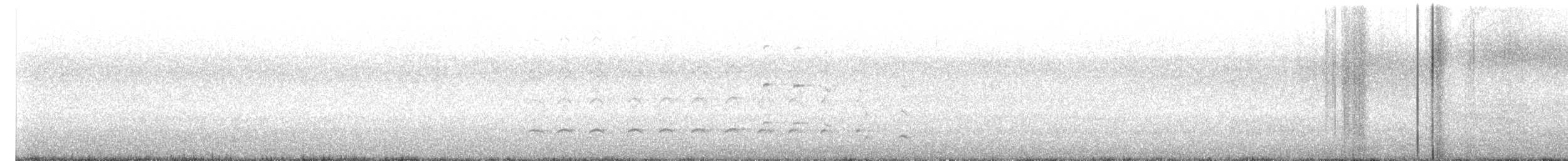 Balbuzard pêcheur - ML646697017