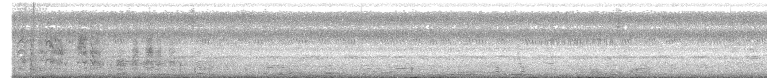 Hint Kukumavı - ML646697026