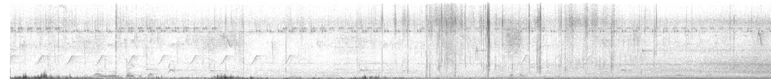 Gray Junglefowl - ML646697044