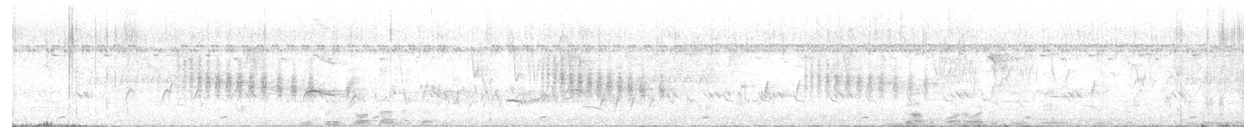 Coppersmith Barbet - ML646697074