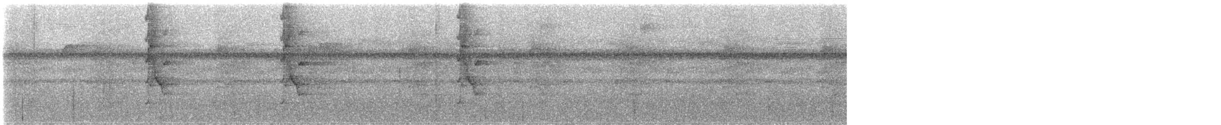 Uzun Gagalı Hermit - ML646697118