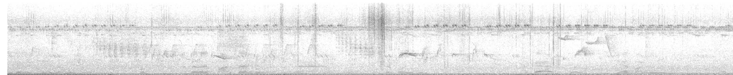 Oriental Magpie-Robin - ML646697194