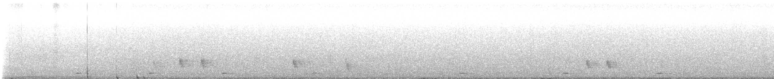 barbet zvučnohlasý - ML646697205