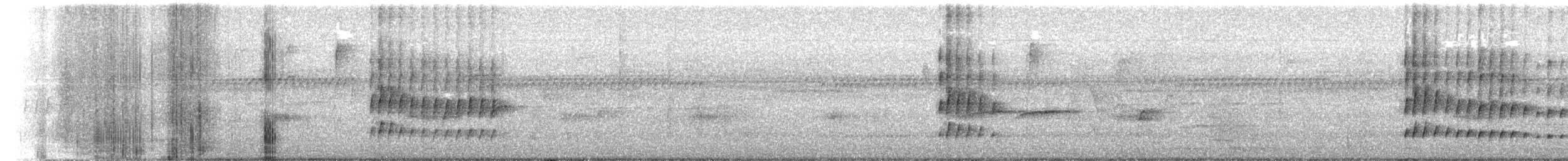 Zeledon Karıncakuşu - ML646697681