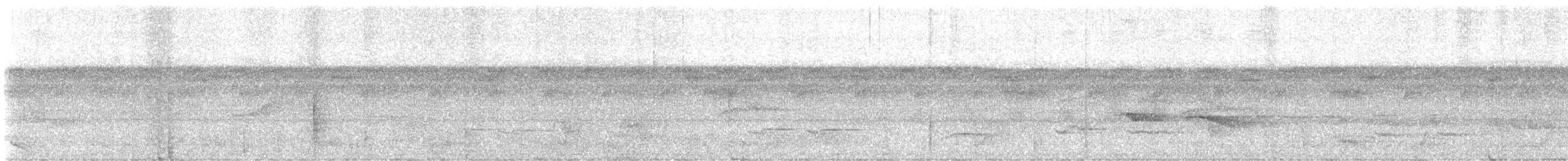 Amazon Karınca Tiranı - ML646697819