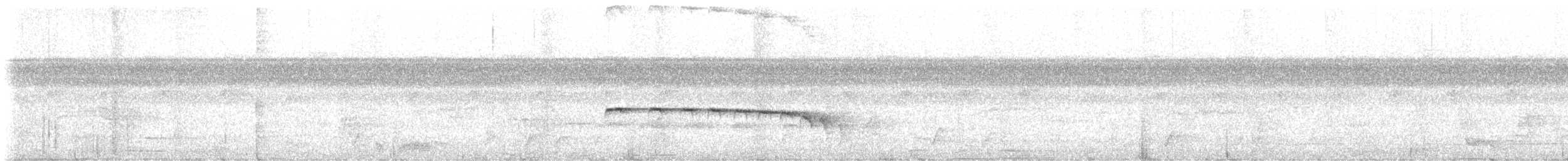 Chestnut-tailed Antbird - ML646697859