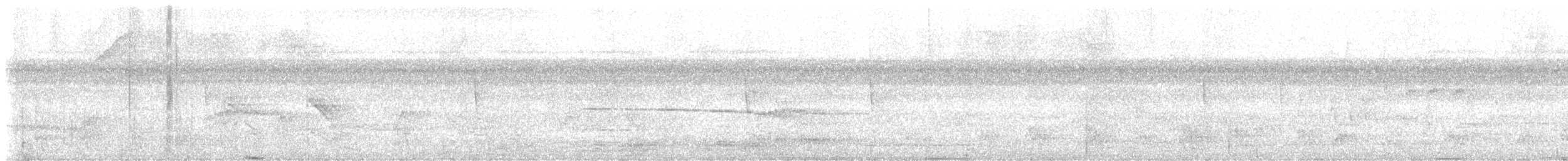 Razor-billed Curassow - ML646697869