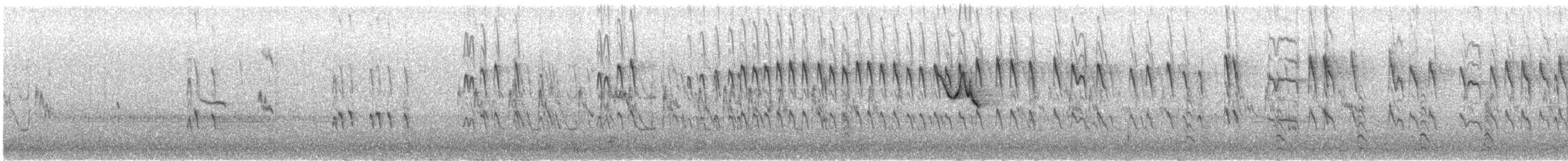 Japon Gözlükçüsü - ML646697908