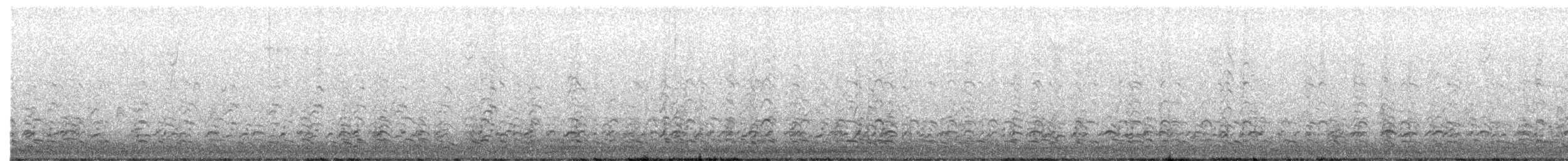 Oca canadese minore - ML646698201