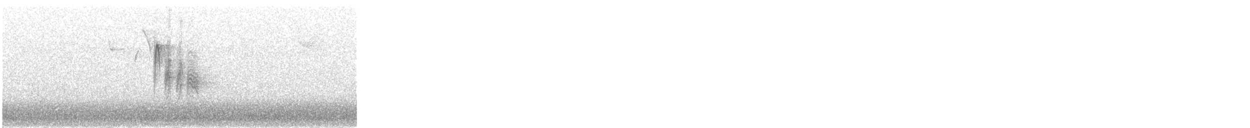 Mésange de Caroline - ML646698304