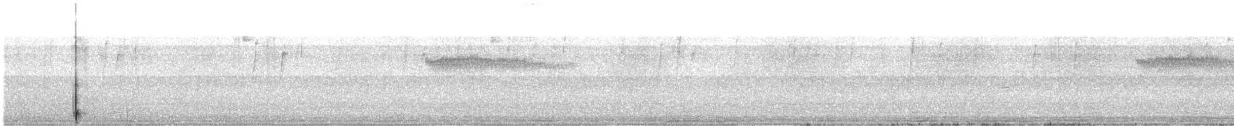 Spotted Barbtail - ML646698308