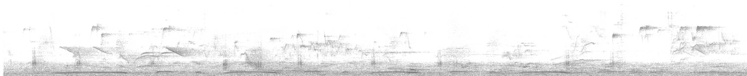 Picazuro Pigeon - ML646698489