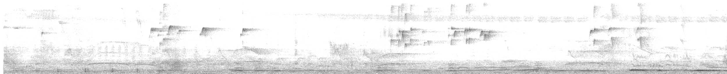 Picazuro Pigeon - ML646698490